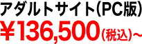 アダルトサイト（PC版）136,000円（税込）〜
